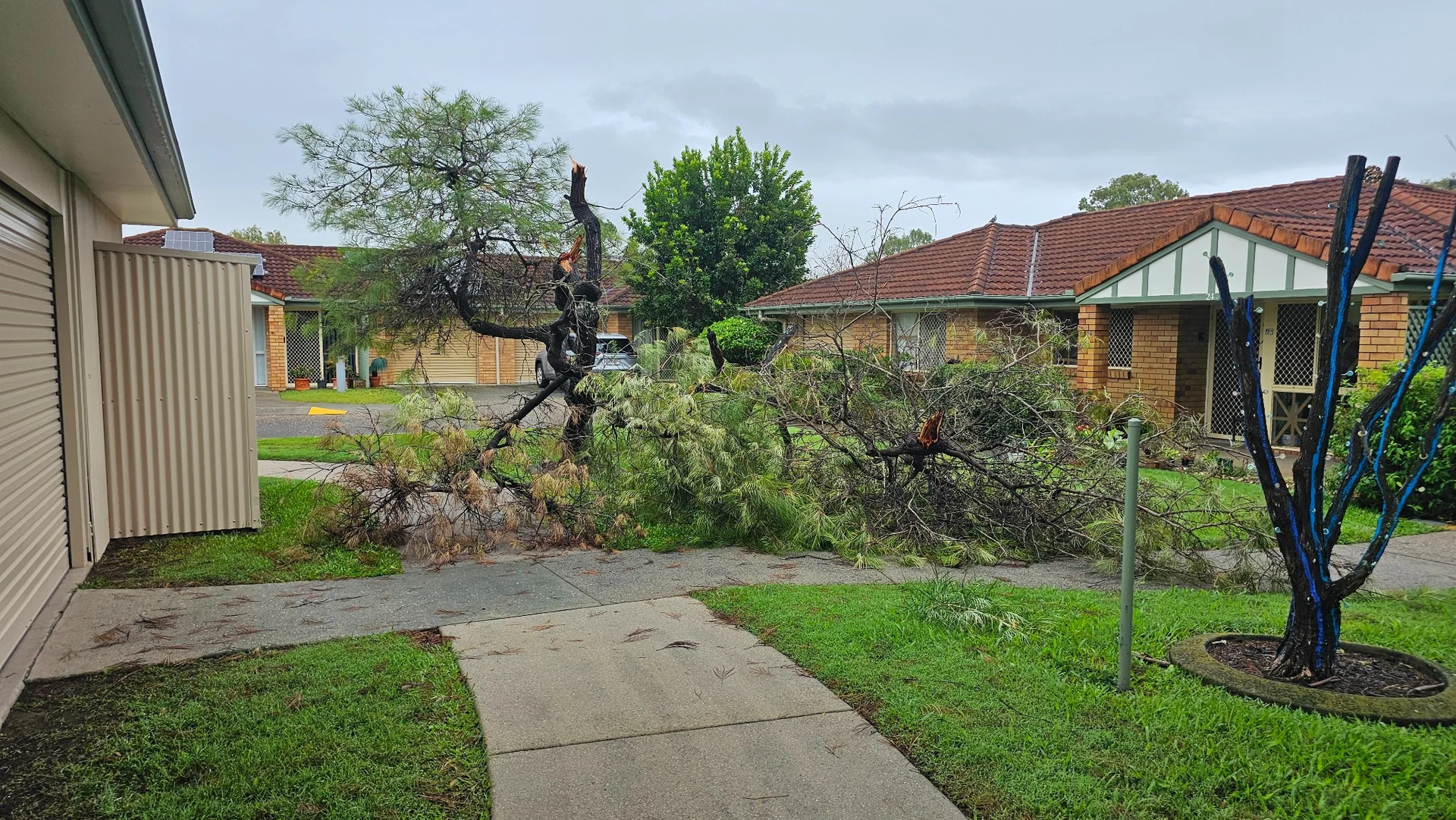 A fallen tree and branches across paths between village homes