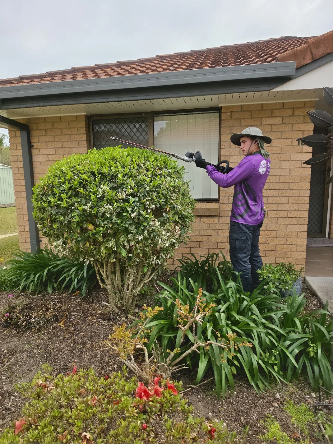 An Excel team member shaping a rounded hedge beside a village home