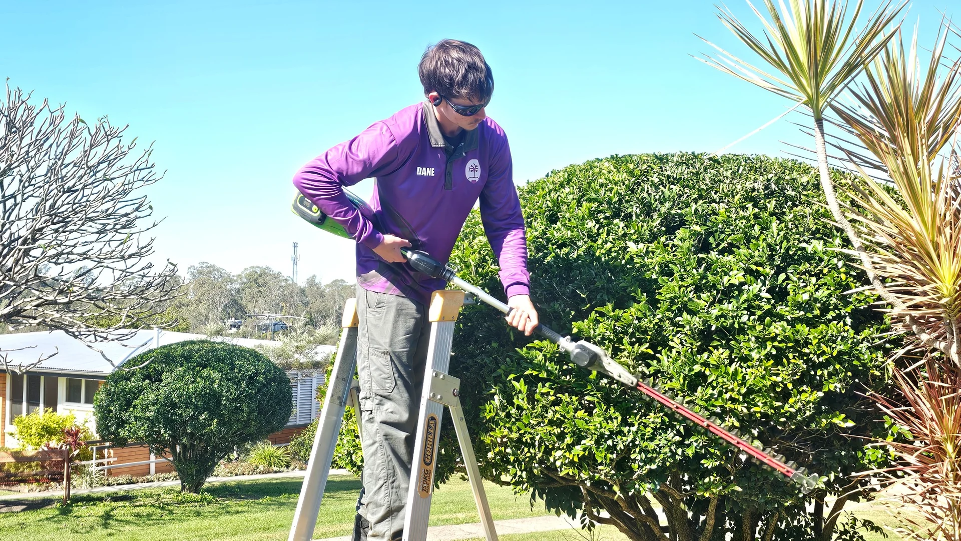 An Excel team member trimming a large hedge with a long-reach hedge trimmer