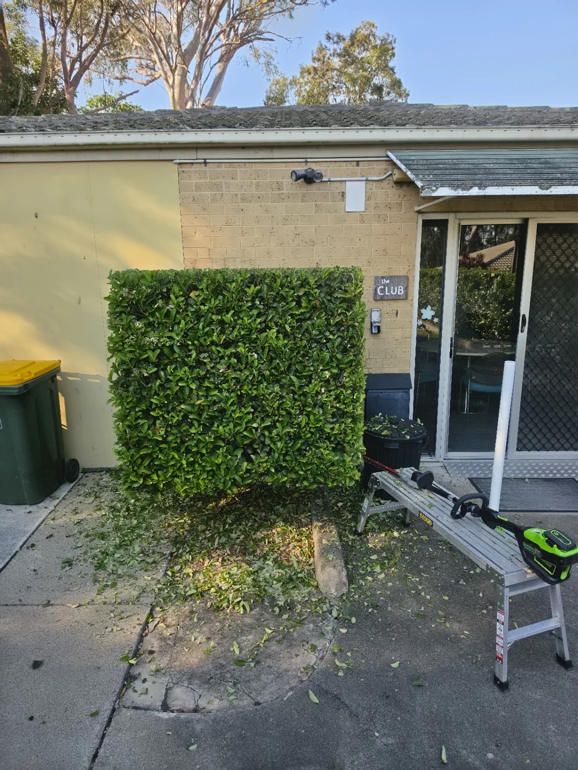 A neatly shaped rectangular hedge beside the village clubhouse, with trimming equipment and clippings nearby